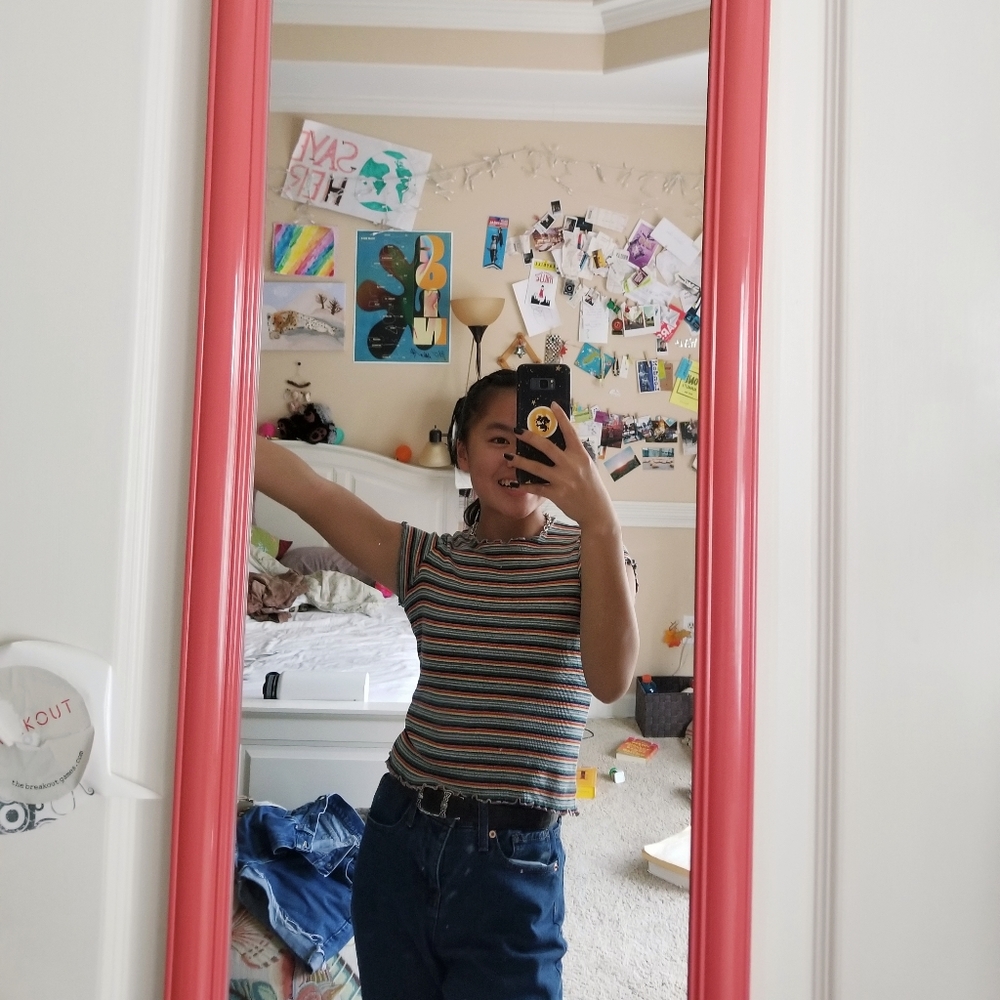 brandy melville rainbow striped crop top